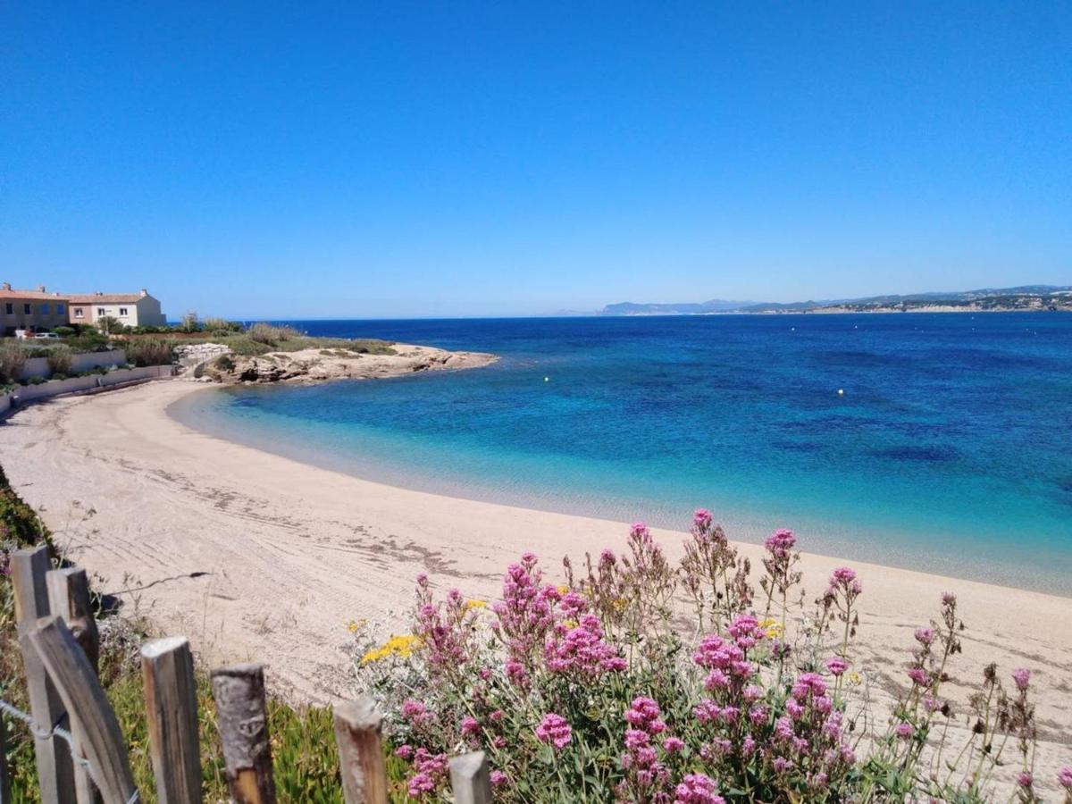 T3 Climatise Avec Jardin, Parking Prive, A 400M De La Plage Et Commerces - Fr-1-316-230 Сис-Фур-Ле-Пляж Экстерьер фото
